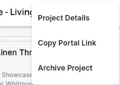 Project menu